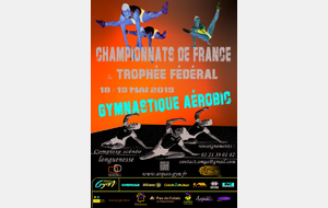 Championnat de France aérobic